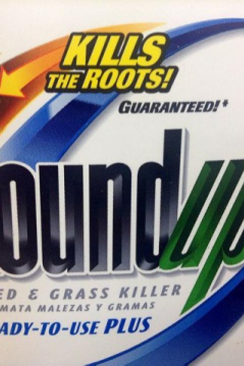 14873877950_6bd9aa7b23_z-Roundup.jpg