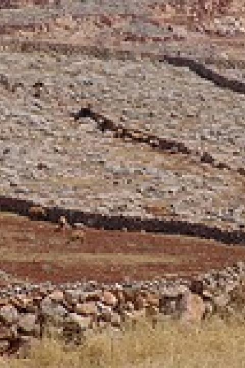 8170263148_885591cd5c_m.jpg