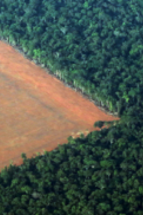 Brazil-EDF.png