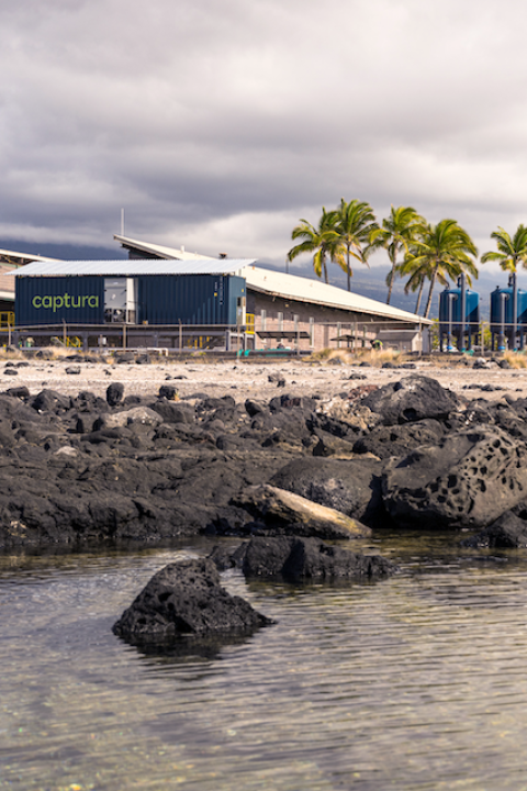 The Captura pilot facility in Hawaii on the coast surrounded by palm trees — direct ocean capture