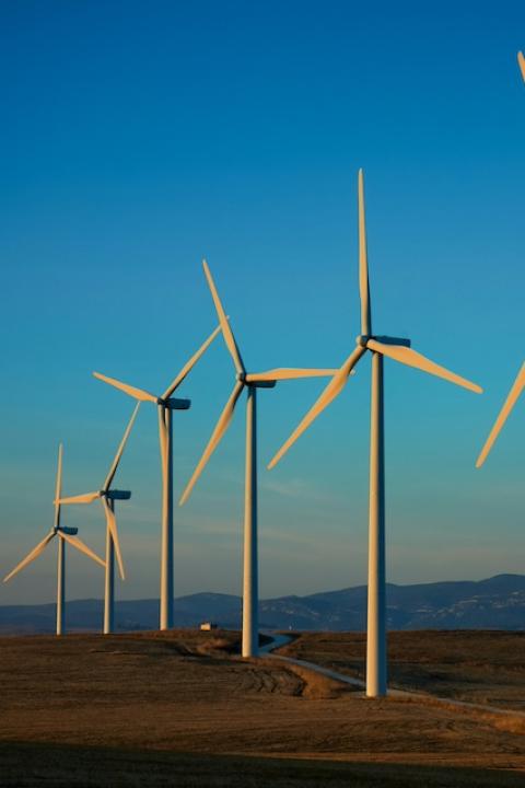 A row of wind turbines — climate transition plan