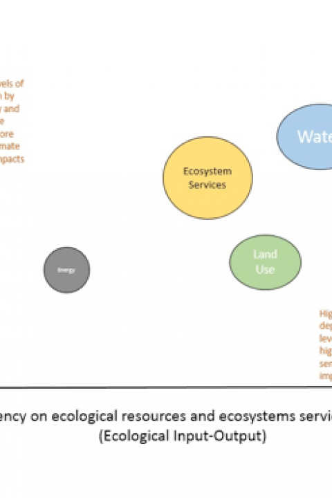 Ecological-Dependency-Diagram.png