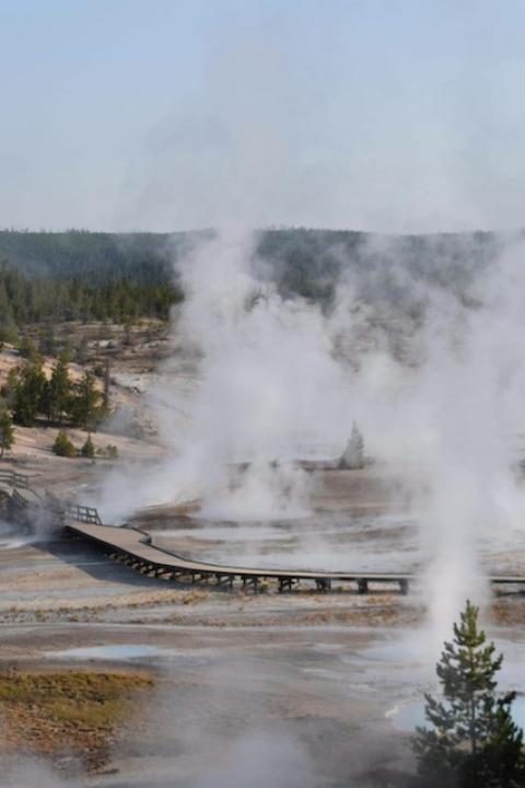 Steam rises up from a geyser basin, displaying of geothermal energy.