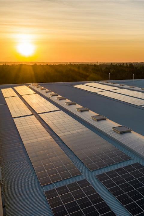 Solar panels on a roof at sunset. 