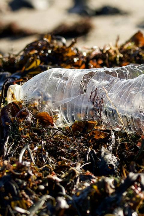 Plastic pollution lying on the beach.