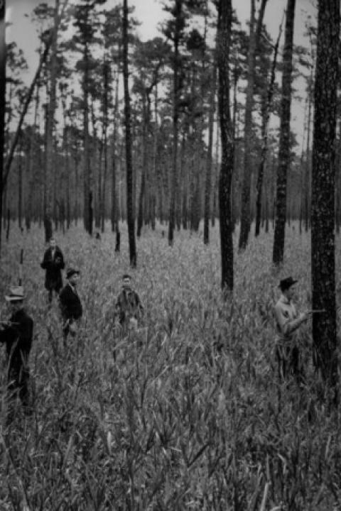 Reed-Forest-Apple-TCF-NCSU.jpg