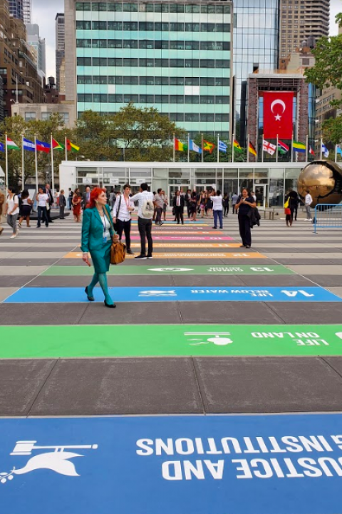 SDGs