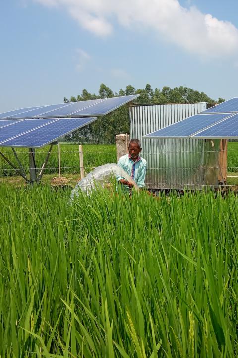 Smallholder farmers solar irrigation