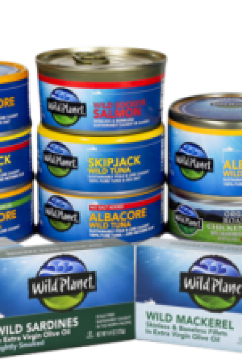Wild-Planet.png