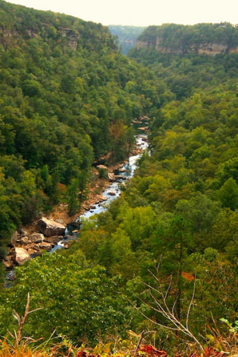 Little River Canyon, Fort Payne, Alabama.
