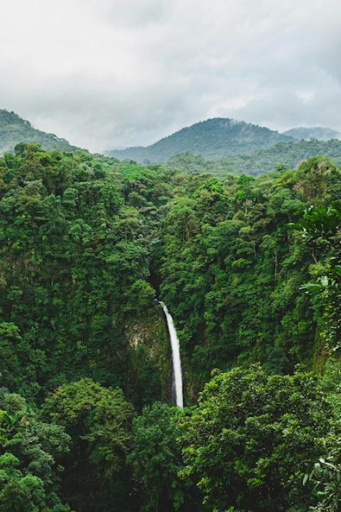 La Fortuna Waterfall in Costa Rica from afar — Biodiversity Impact Credits