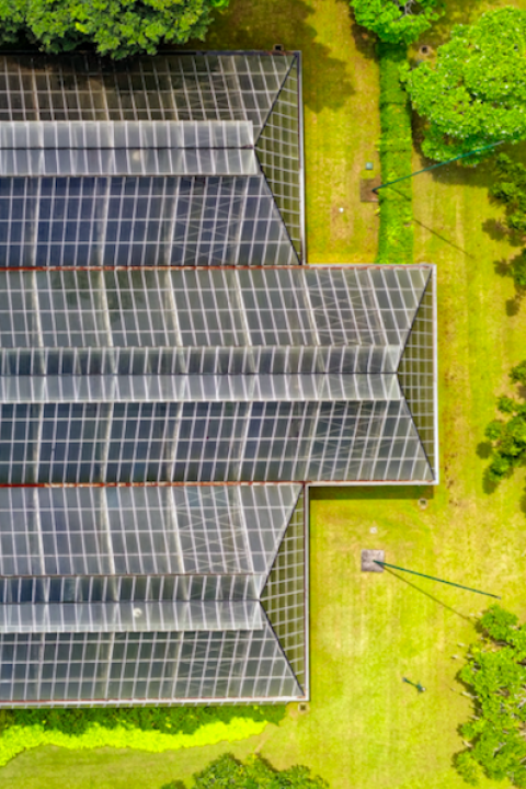 How can we remake the energy landscape in the U.S. to embrace a robust clean energy and decarbonization trajectory within a decade, and do so in the face of significant political headwinds at the federal level?
