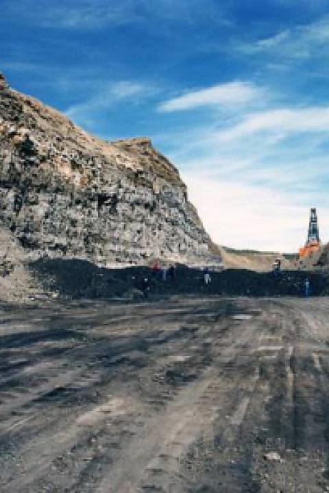 coal-mine-cpp-order.jpg