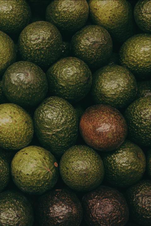 Food Waste