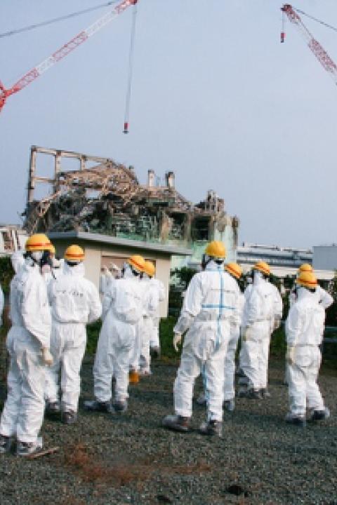 fuku_6234249607_77e5bc1860_z.jpg
