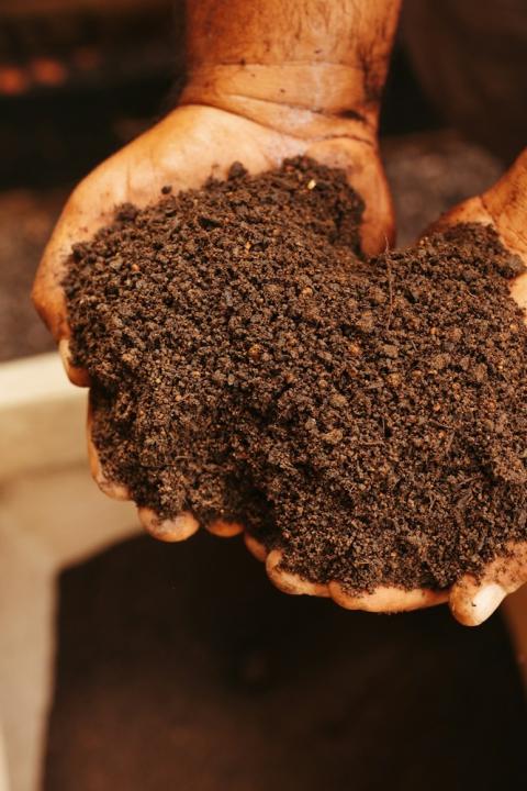 hands in soil — sustainable agriculture