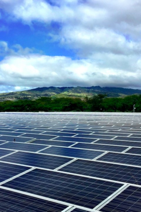 About 25 percent of power generation companies in America are currently led by women, several of whom have transformed these businesses' operations by providing clean power to customers.