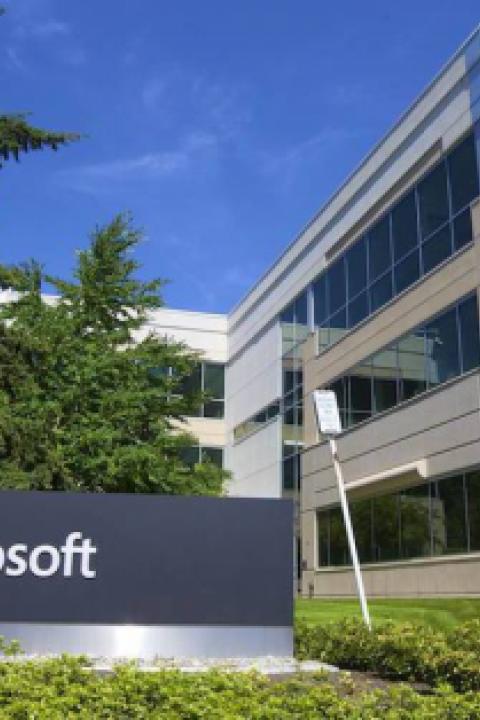 microsoft.jpg