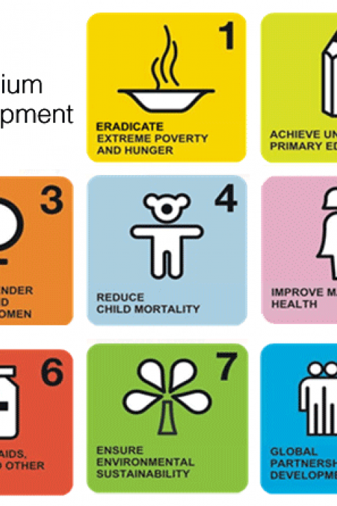 millenium-development-goals-1.png