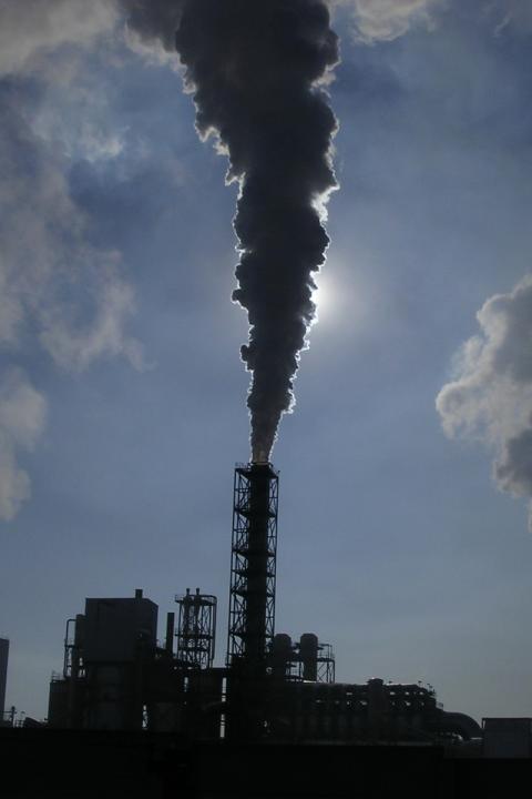 Net Zero