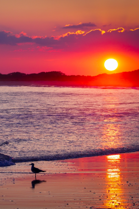New Jersey