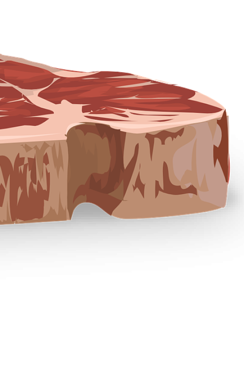 plant-based protein