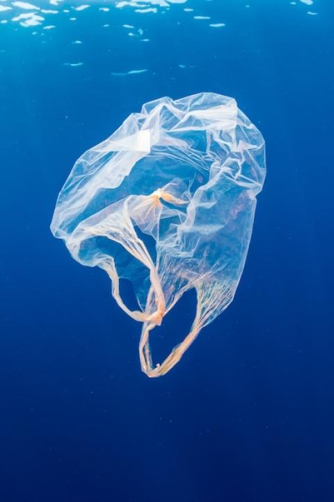 plastic bag floating in the ocean — new study links plastic bag bans to less plastic pollution on beaches