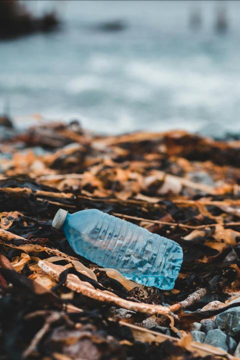 plastic bottle litter