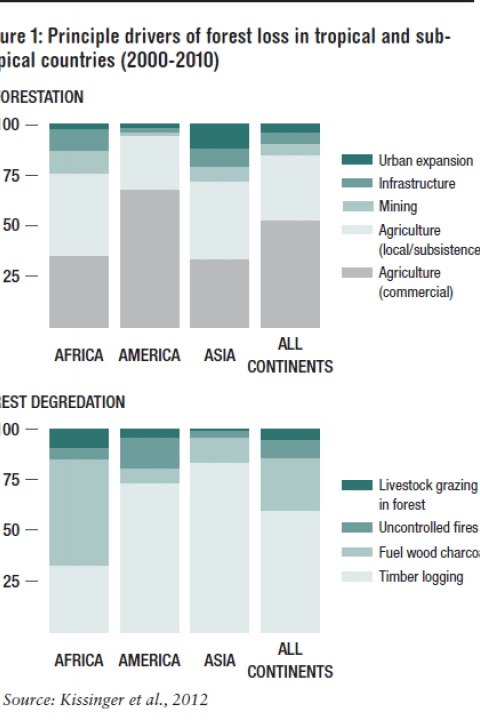 principal-drivers-of-forest-loss-ODI.png