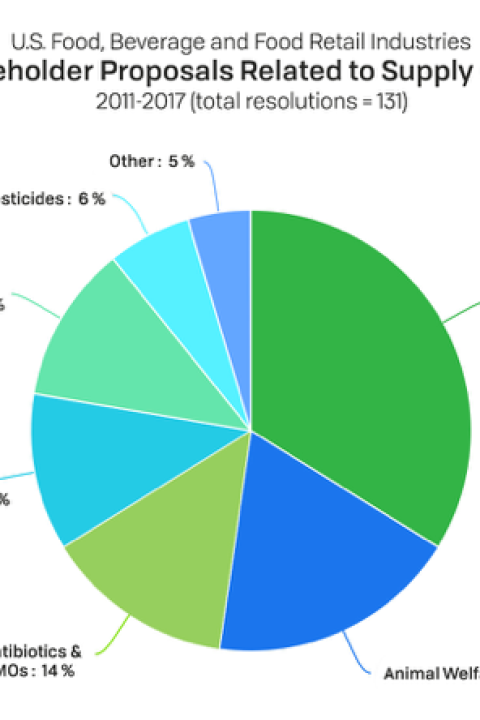 Shareholder Proposals Pie Chart