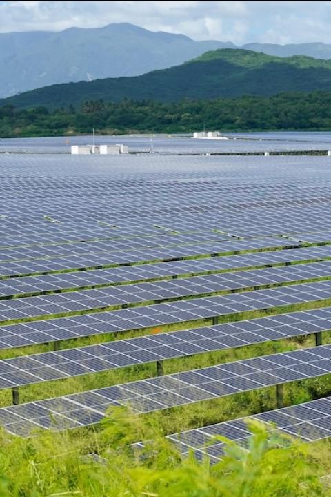 solar farm