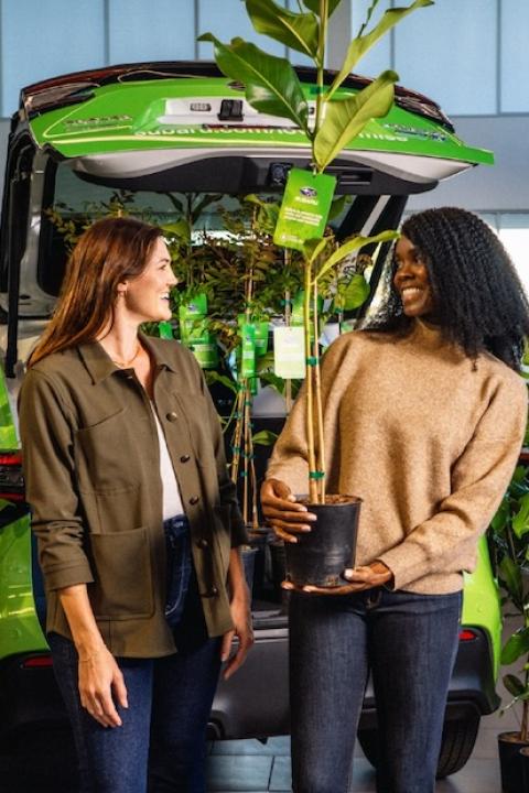 subaru tree planting — trees — tree donations — Arbor Day foundation 