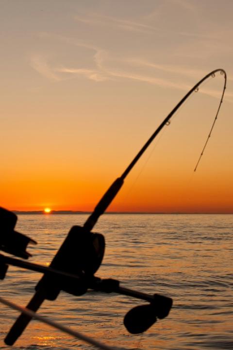 A fishing pole cast into the water at sunset — sustainable fishing
