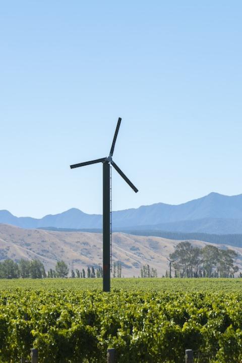 A wind turbine on a vineyard in Marlborough, New Zealand — sustainable wine