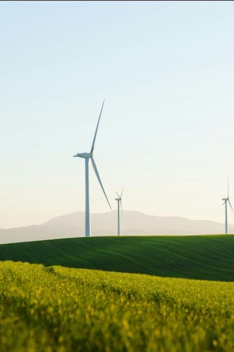 wind farm in the country