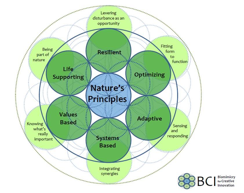 1-business-nature.jpg