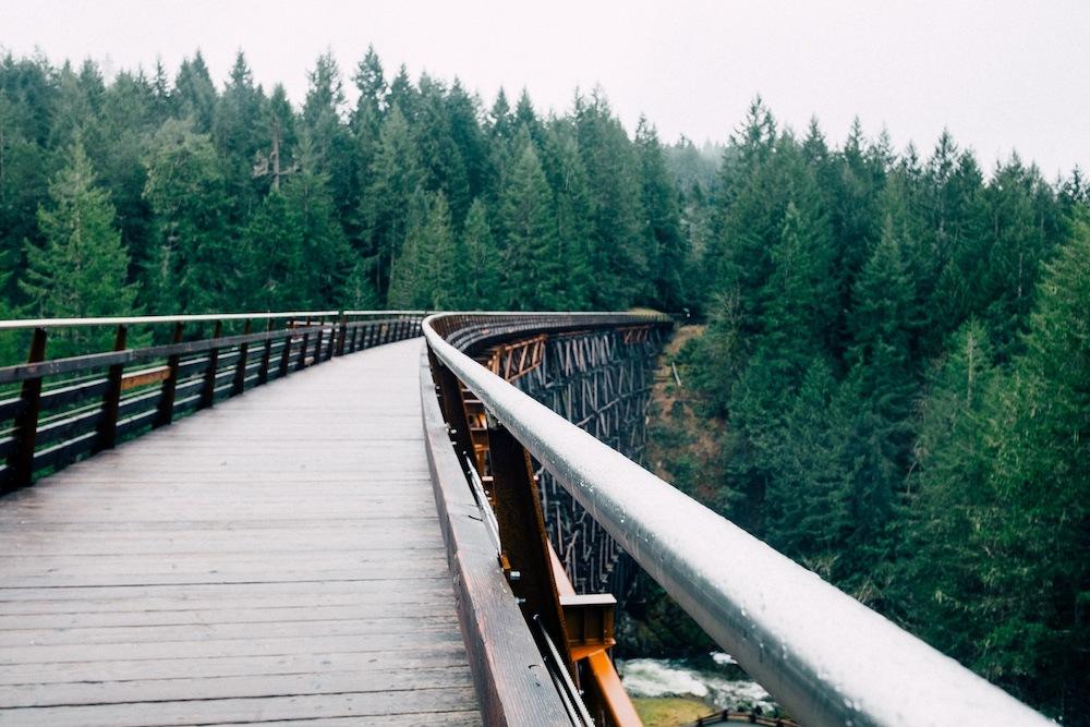 2016-05-Life-of-Pix-free-stock-bridge-forest-firs-PaulJarvis.jpg