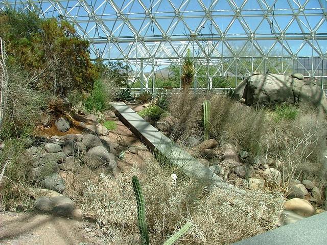 3782536989_f045173b5e_z-1.jpg