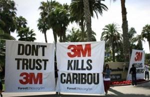3m-sustainable-brand-protest1-300x1941.jpg