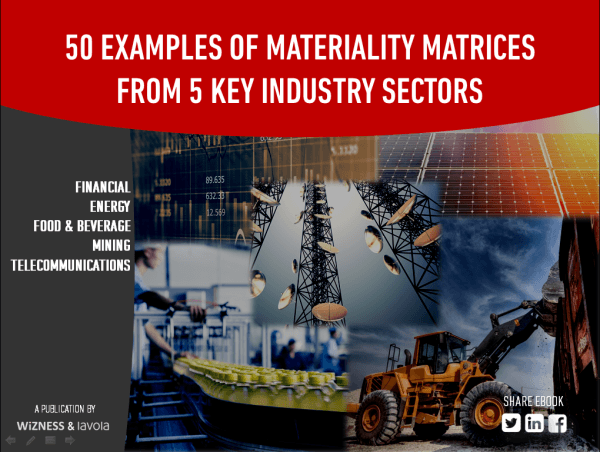 50-Materiality-Matrices-Ebook.png
