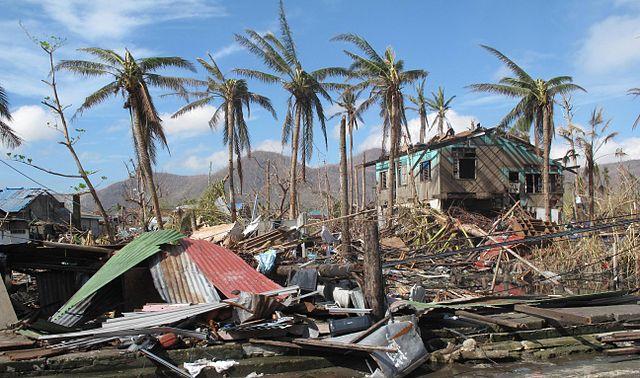 640px-A_few_palm_trees_remain_standing_amid_the_destruction_caused_by_Typhoon_Haiyan_in_the_city_of_Tacloban_Philippines_11290331484.jpg