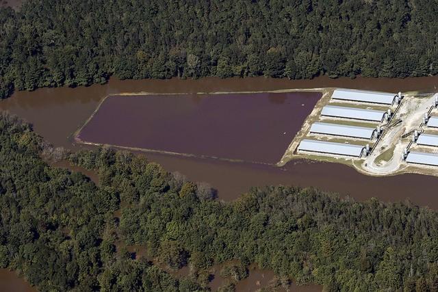 A-recently-flooded-livestock-operation-in-North-Carolina.jpg