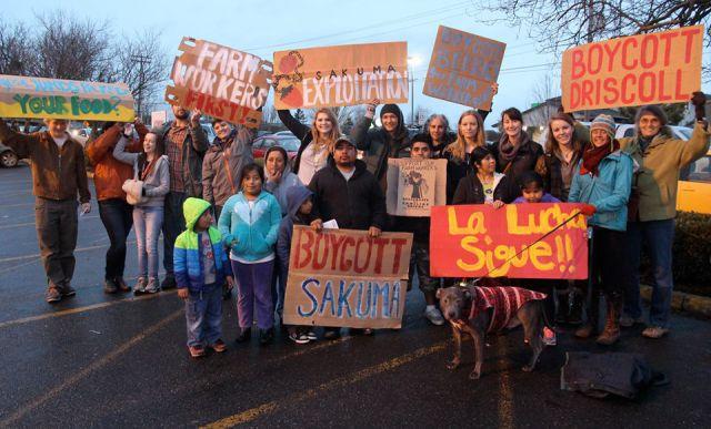A-union-in-Washington-State-is-calling-for-a-boycott-against-Driscolls.jpg