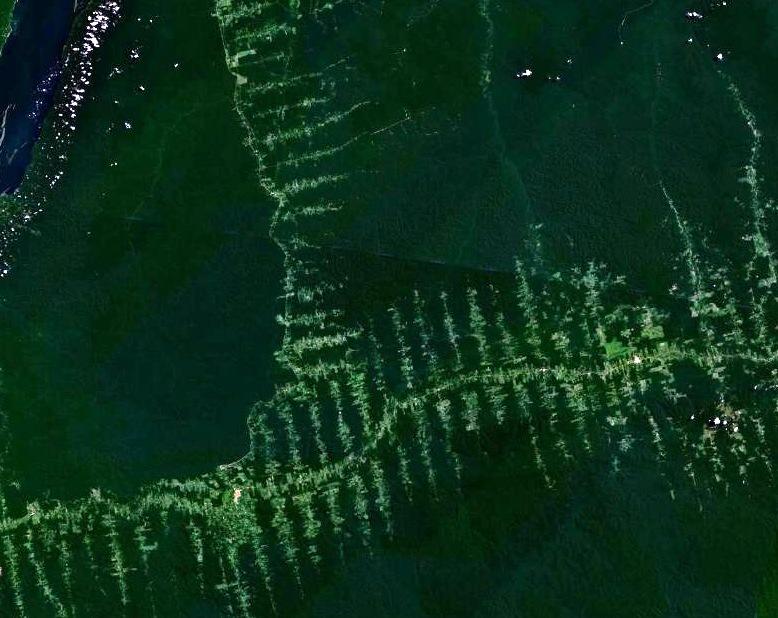Amazon_deforestation.jpg