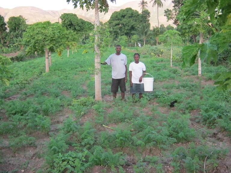 An-agroforestry-project-near-Gonaives-Haiti.jpg