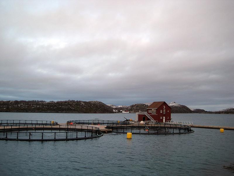 Aquaculture-farm.jpg