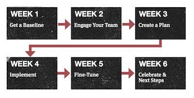 B-Corp-Certification-Six-Week-Chart.jpg