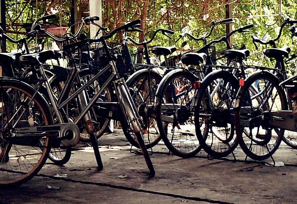 Bicycles-by-Vivera-Siregar.jpg