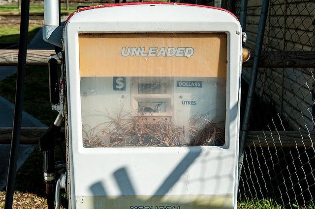 Biofuel-pump.jpg