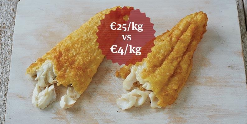 Blog-image.jpg